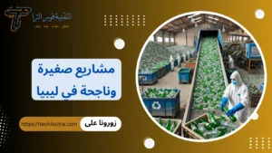 مشاريع صغيرة وناجحة في ليبيا