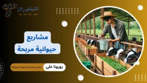 +30 أفضل مشاريع حيوانية مربحة 2026 | مشاريع مربحة فوق سطح المنزل مشاريع حيوانية مربحة