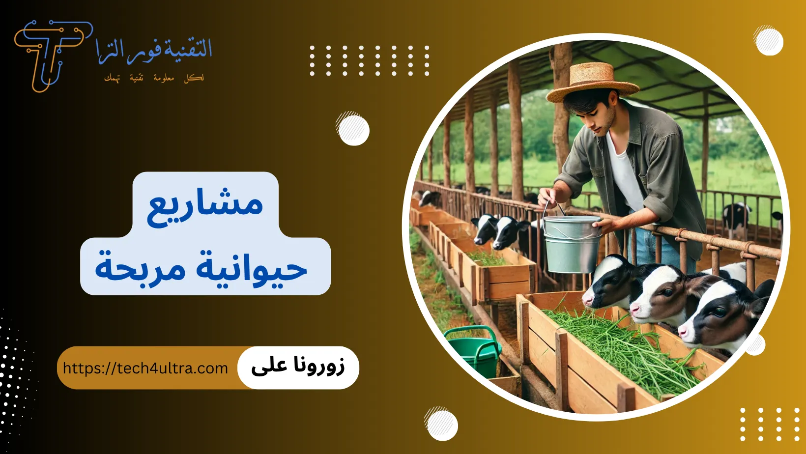 مشاريع حيوانية مربحة