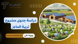 دراسة جدوى مشروع تربية الماعز 2026 | هل تربية الماعز مربحة مشروع تربية الماعز