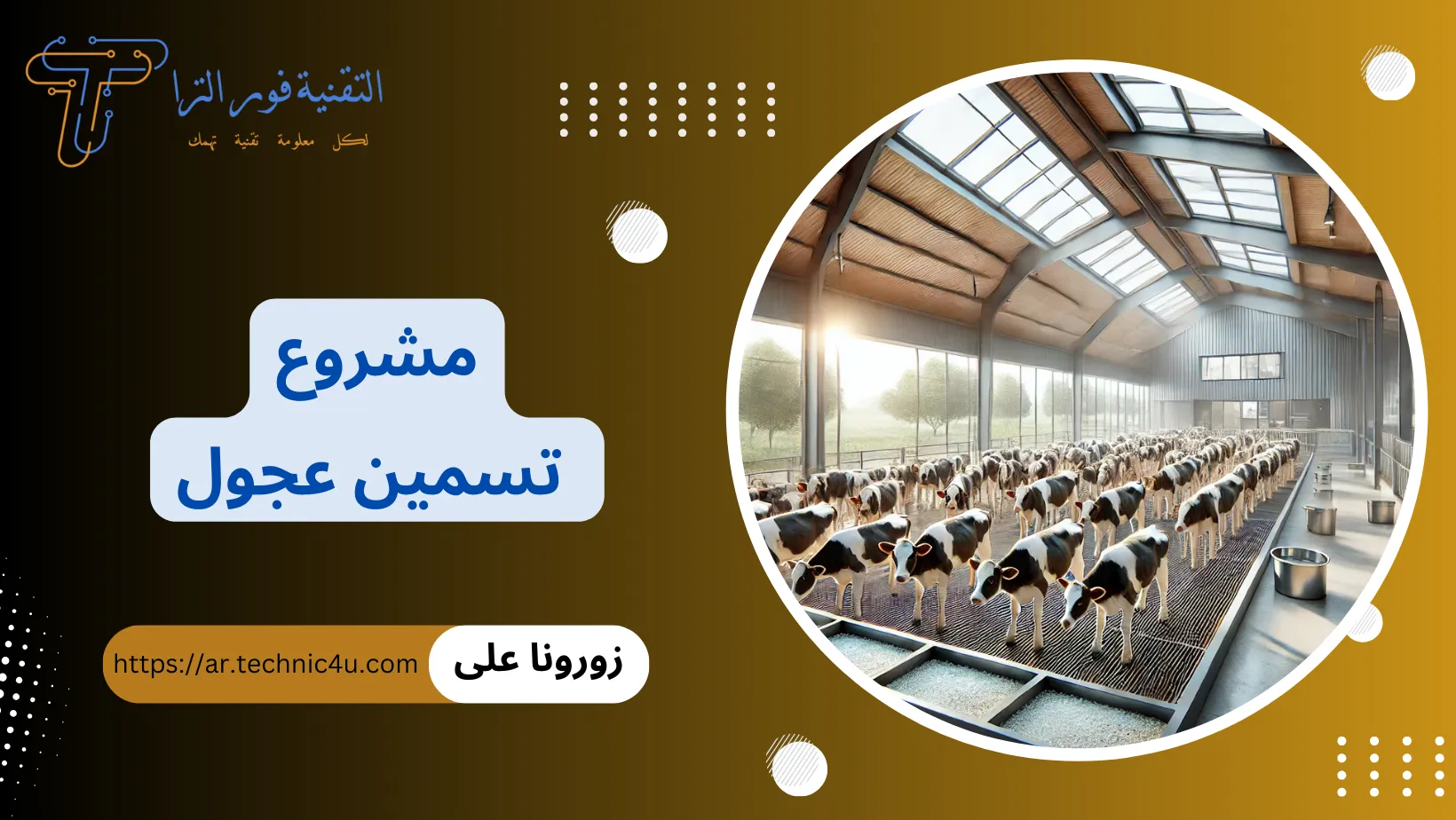 مشروع تسمين عجول