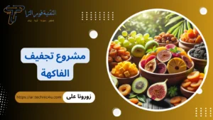 مشروع تجفيف الفاكهة