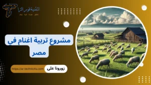 دراسة جدوى مشروع تربية اغنام في مصر 2026 | مشروع تربية الخرفان مشروع تربية اغنام في مصر