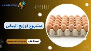 دراسة جدوى مشروع توزيع البيض في 2026 | التكاليف والأرباح المتوقعة مشروع توزيع البيض