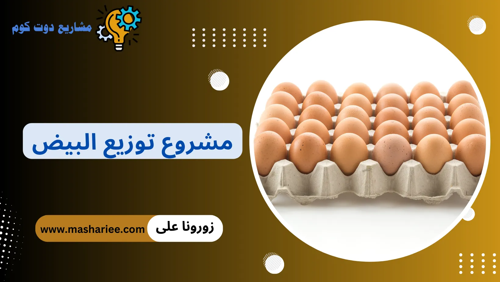 مشروع توزيع البيض