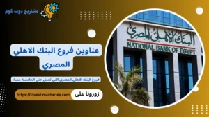 عناوين فروع البنك الاهلي المصري