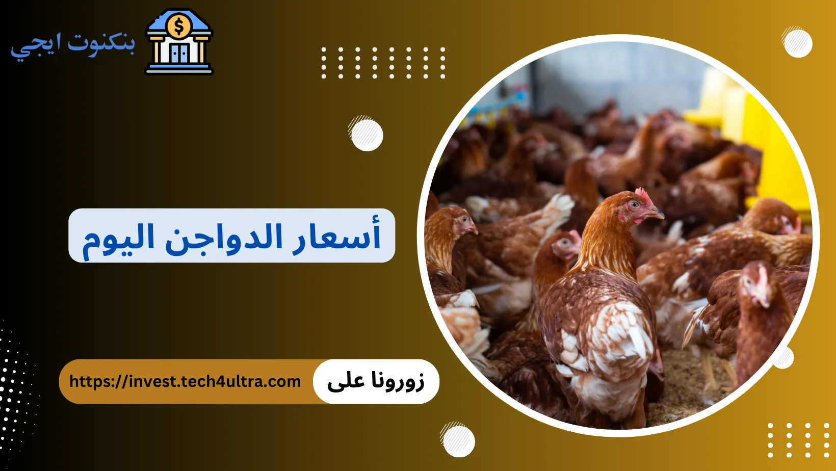 اسعار الدواجن اليوم