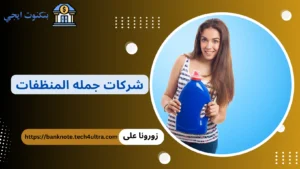 دليل عناوين وأرقام موزعين وشركات جمله المنظفات في مصر 2026 شركات جمله المنظفات