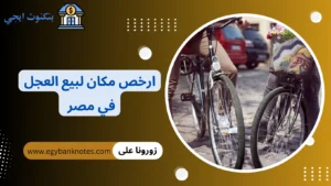 ارخص مكان لبيع العجل في مصر