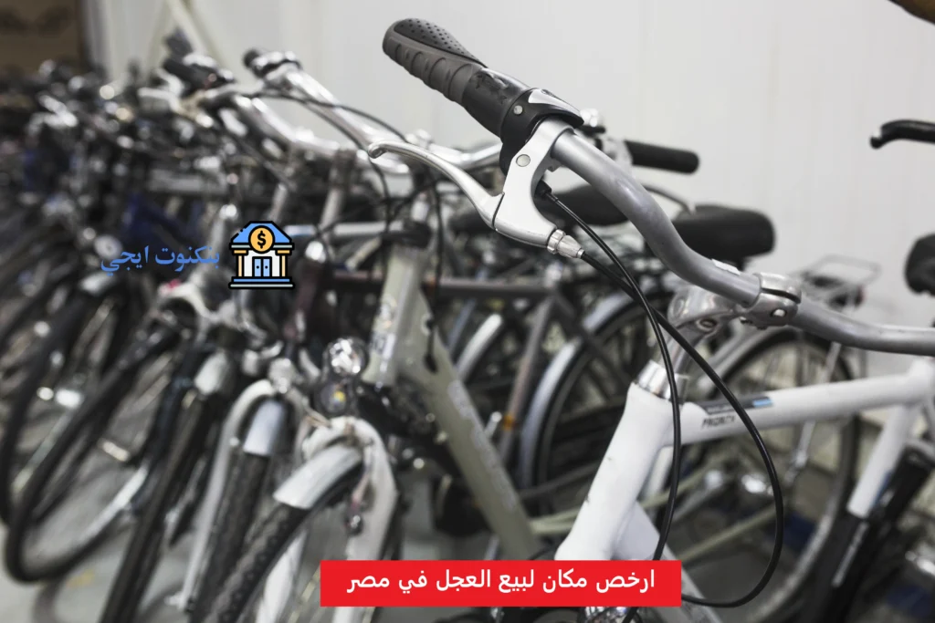 دليل عناوين وأرقام ارخص أماكن بيع العجل في مصر 2025 لعشاق الدراجات الهوائية ارخص مكان لبيع العجل في مصر