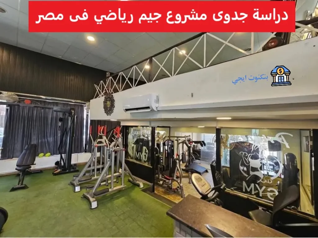 دراسة جدوى مشروع جيم رياضي 2025 التكلفة والأرباح وأسرار النجاح خطوة بخطوة دراسة جدوى مشروع جيم رياضي فى مصر