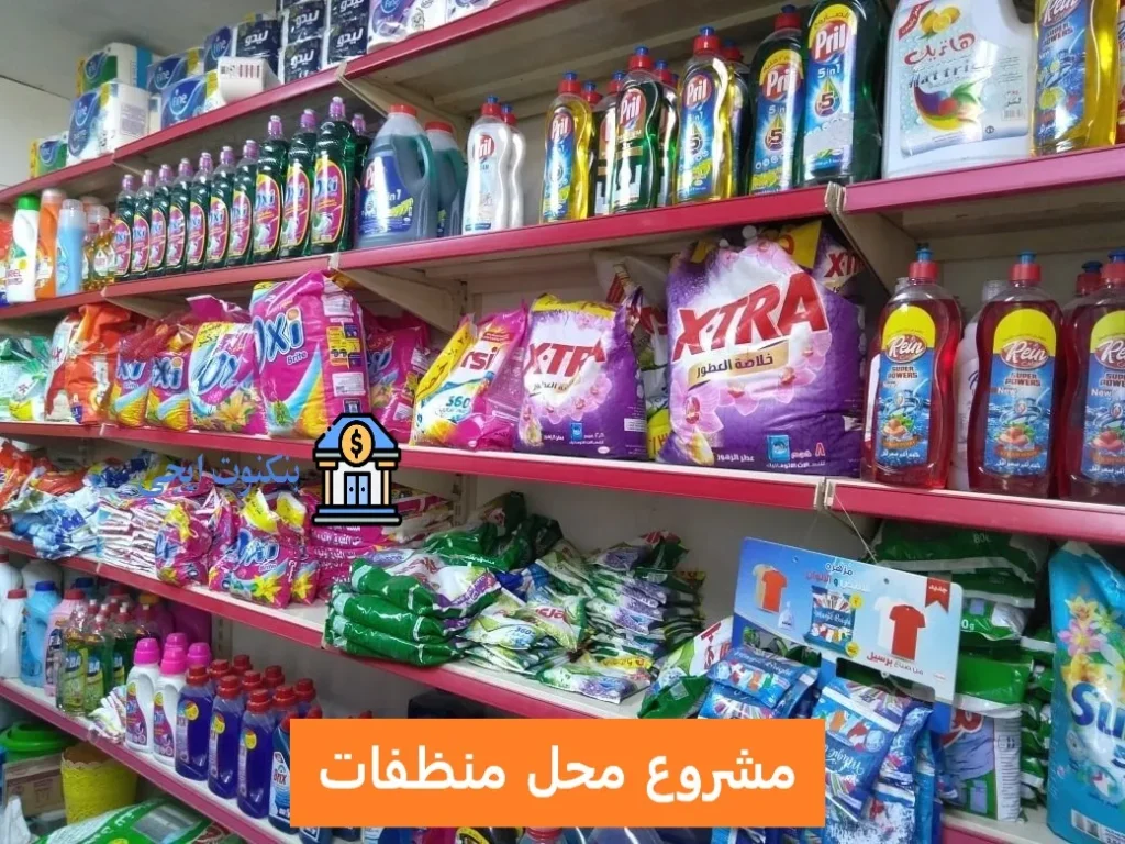 دراسة جدوى مشروع محل منظفات وورقيات 2025: أسرار النجاح والتكاليف وخطة التسويق المتكاملة مشروع محل منظفات