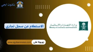 الاستعلام عن سجل تجاري