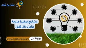 مشاريع صغيرة مربحة برأس مال قليل