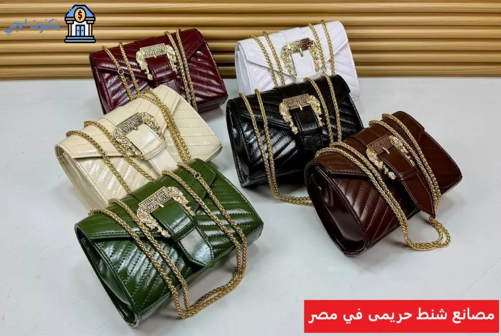 مصانع شنط حريمى في مصر
