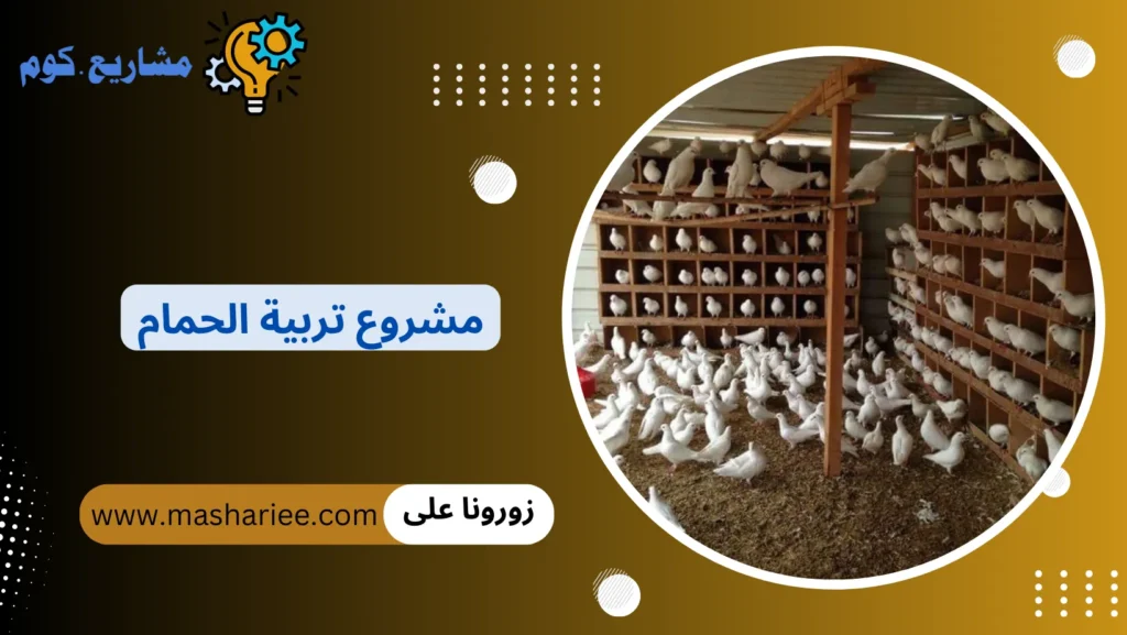 مشروع تربية الحمام