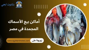 دليل أماكن محلات وأسواق بيع الأسماك المجمدة في مصر 2026 أماكن بيع الأسماك المجمدة في مصر
