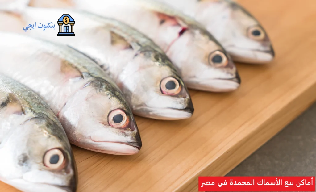 أماكن بيع الأسماك المجمدة في مصر
