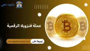 تداول عملة فنزويلا الرقمية: هل تستحق الاستثمار؟ أرخص عملة في العالم 2026 (البترو والبوليفار) عملة فنزويلا الرقمية